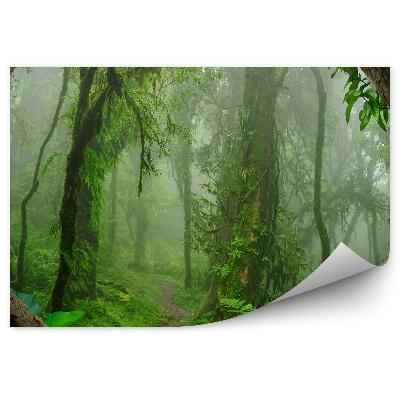 Fototapet vintage Copaci De Ferigi Din Junglă Adâncă Din Nepal