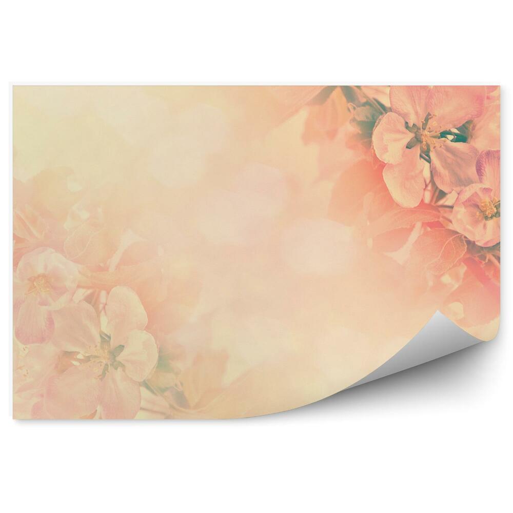 Fototapet perete Fundal cu flori de măr portocaliu