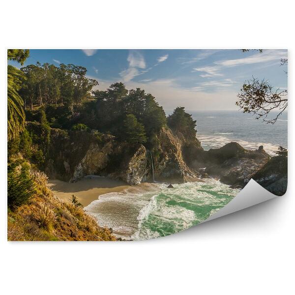 Decor fototapet Munți Stânci Ocean Copaci Palmieri Cer Nori California