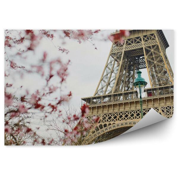 Decor fototapet Floare De Cireș Turnul Eiffel Lămpi Copaci Paris Franța