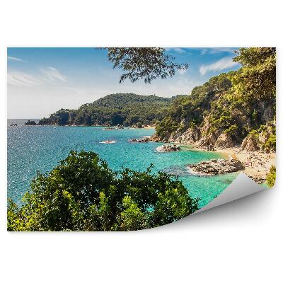 Fototapet vintage Lloret de mar spania plaja natura apa verde