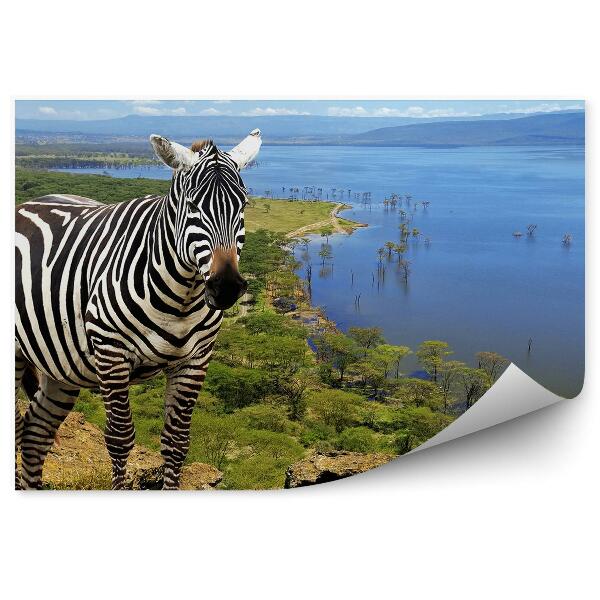 Fototapet pentru perete Parcul național de zebre animale Kenya