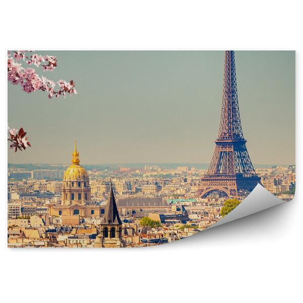 Decor fototapet Flori înflorite pe un copac Panorama Parisului