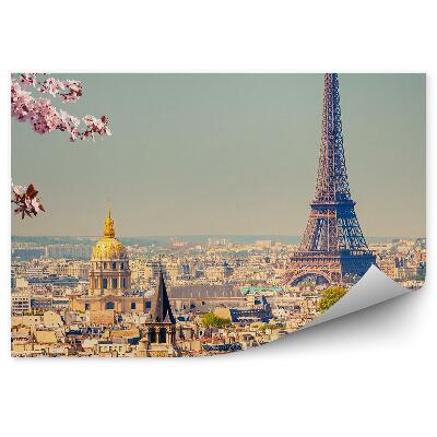 Decor fototapet Flori înflorite pe un copac Panorama Parisului