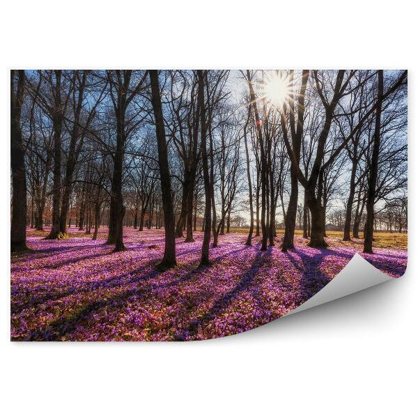 Fototapet vintage Covor Pădure Însorit De Crini