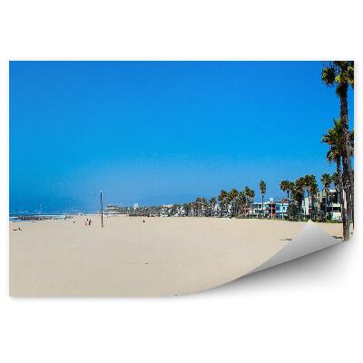 Fototapet perete Plajă nisip apă vară palmieri