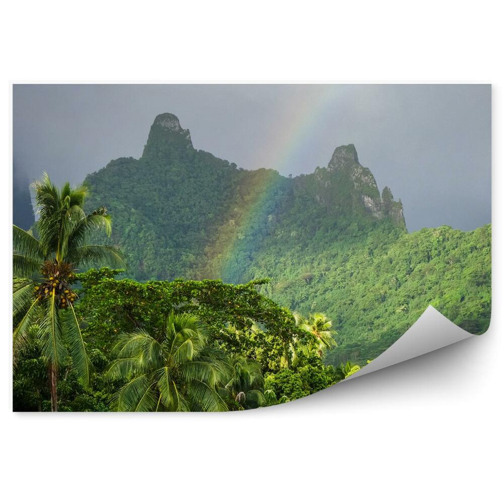 Fototapet perete Curcubeu Plante De Palmier Munți