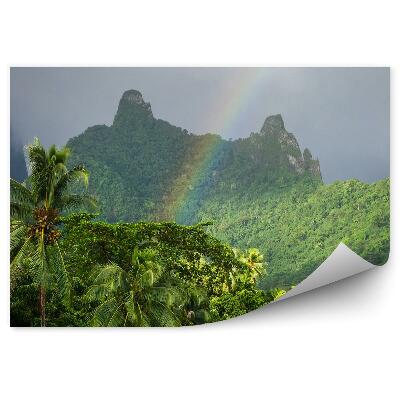 Fototapet perete Curcubeu Plante De Palmier Munți