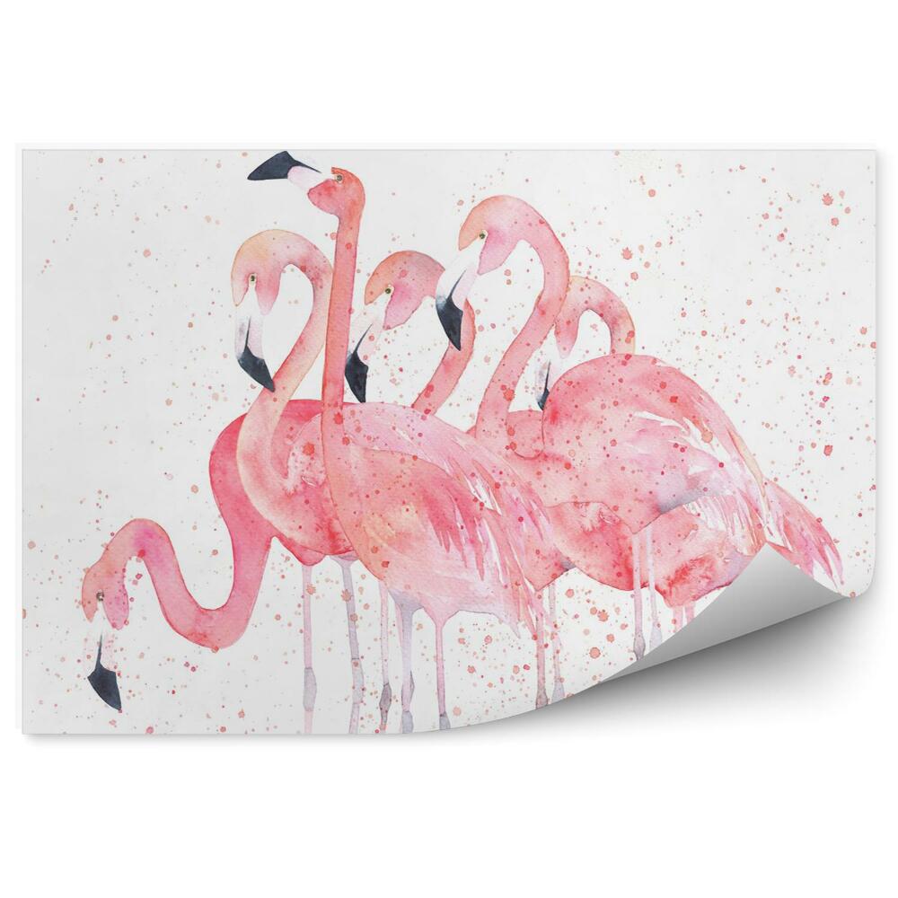 Fototapet Flamingo painted in watercolour