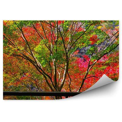 Decor fototapet Copaci Colorați De Toamnă În Afara Ferestrei