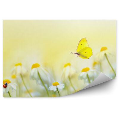 Fototapet pentru perete Flori Pajiște Însorită Vara Fluture Gărgăriță