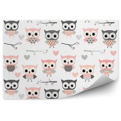 Fototapet perete Bufnițe roz de desene animate