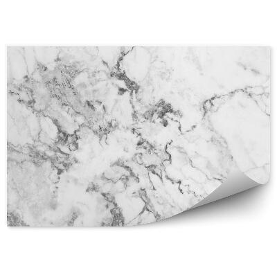 Fototapet vintage Marmură Albă Și Gri