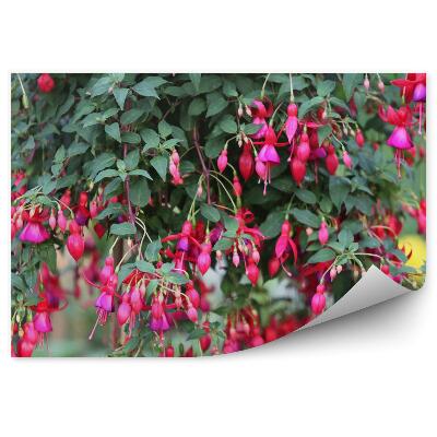 Decor fototapet Flori roz cu frunze verde fucsia