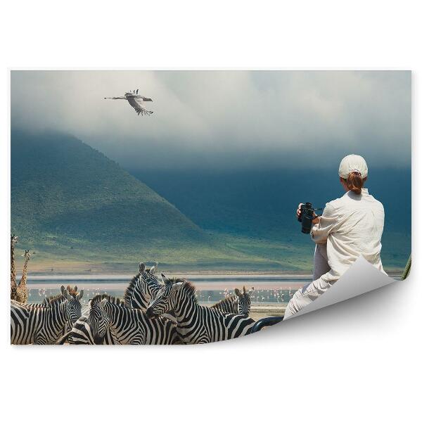 Fototapet vintage Zebre Girafe Păsări Munți Safari Turistic