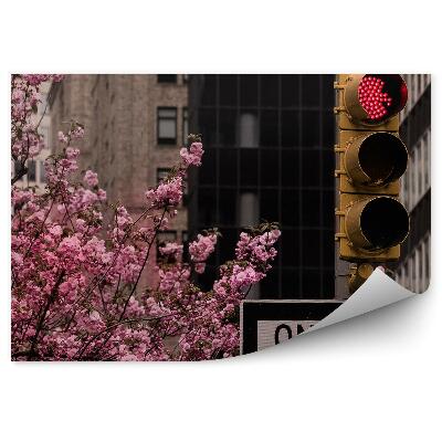 Fototapet vintage Zgârie-Nori Flori De Cireș Copaci Semne Rutiere New York