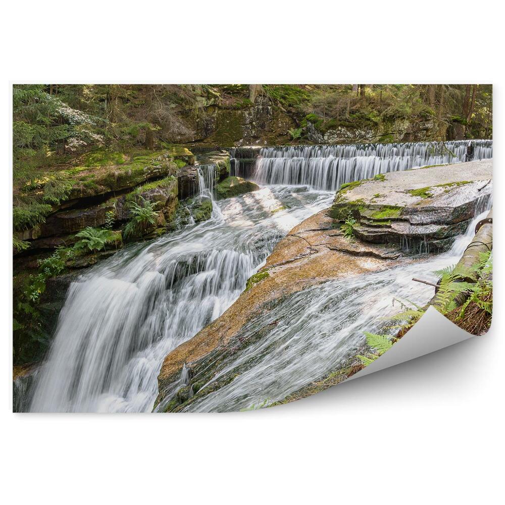 Fototapet Cascada Stânci Copaci Brazi De Crăciun Natura