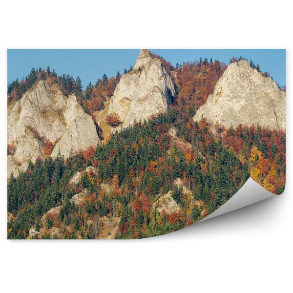 Fototapet perete Trei Coroane Peak În Panorama De Toamnă Pieniny