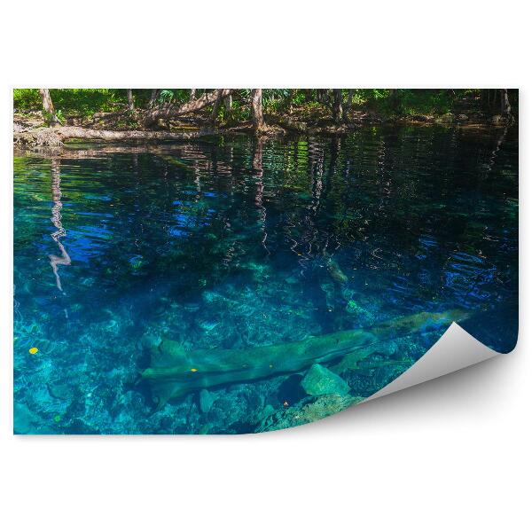 Decor fototapet Lac Albastru Într-O Pădure Tropicală Sălbatică