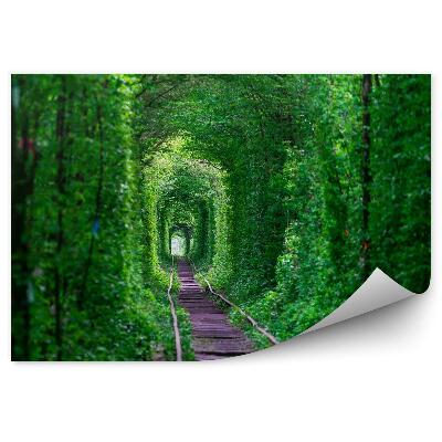 Fototapet Tunel natural arbori tufișuri șine cale ferată