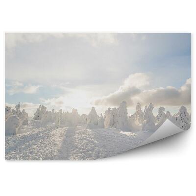 Decor fototapet Cupole De Zăpadă De Iarnă Peisaj Alb