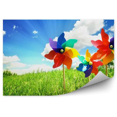 Decor fototapet Mori De Vânt Colorate Luncă Cer Albastru Nori