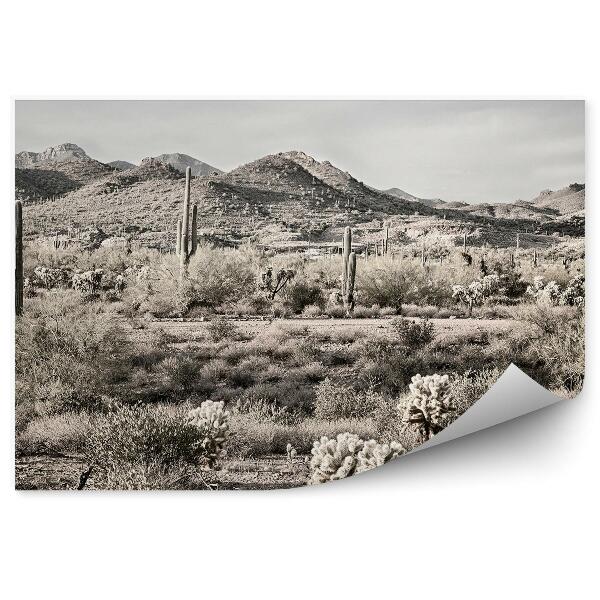 Fototapet perete Sepia Cactus Plante Copaci Cer Nori Desert