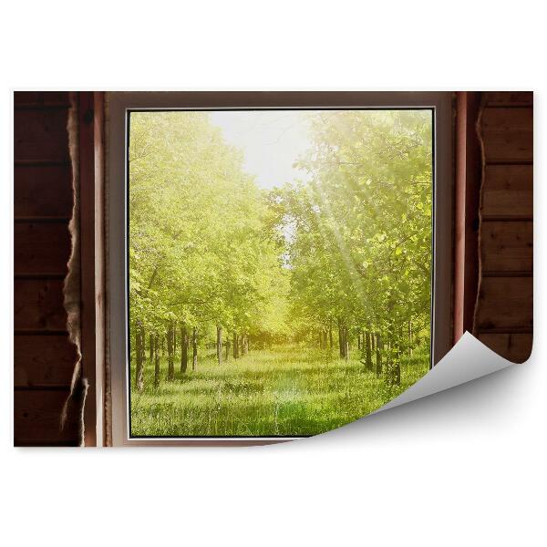 Fototapet vintage Casă din lemn cu vedere spre o pădure luminată