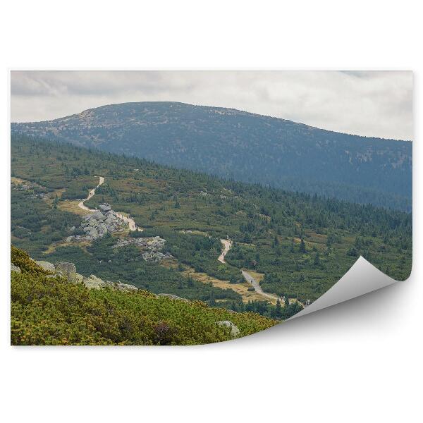 Fototapet perete Traseul Verde Natural Al Munților În Munții Karkonosze