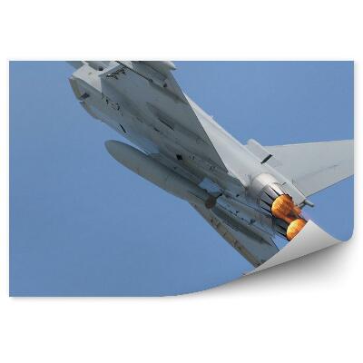 Fototapet pentru perete Luptător multirol cu post-ardere