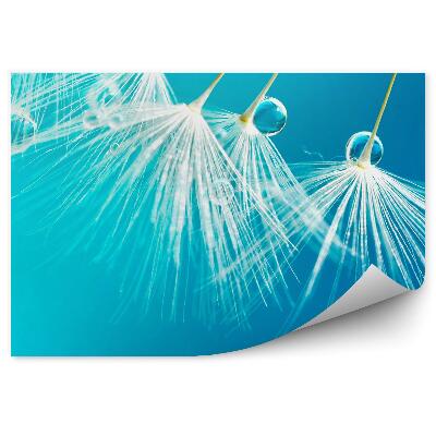 Fototapet vintage Flori de papadie cu picătură de rouă