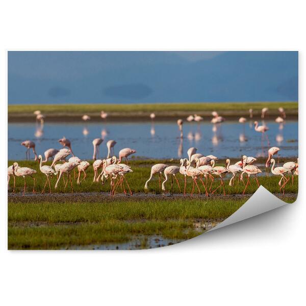 Fototapet vintage Flamingos Iarbă Lac Munți Păsări