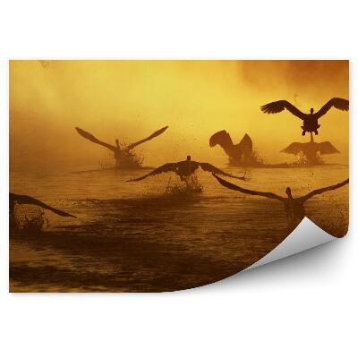 Decor fototapet Lebede În Zbor Peste Râu