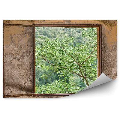 Fototapet perete O Casă Veche Cu O Fereastră Mică Spre Pădure Și Copaci Verzi