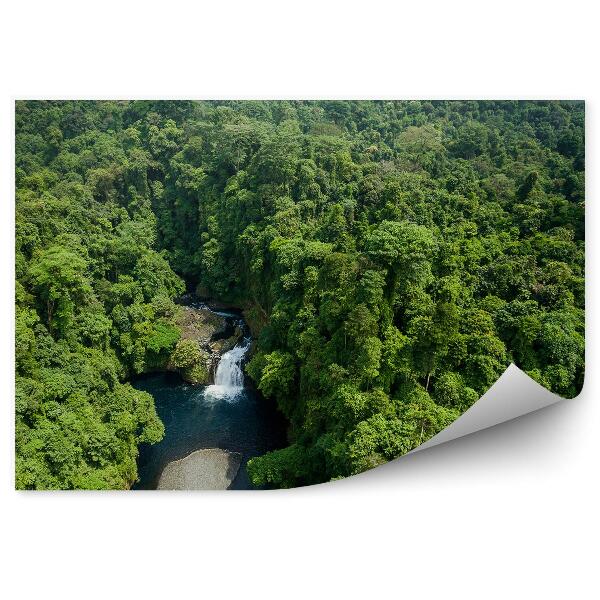 Fototapet pentru perete Pădure râu natura natură