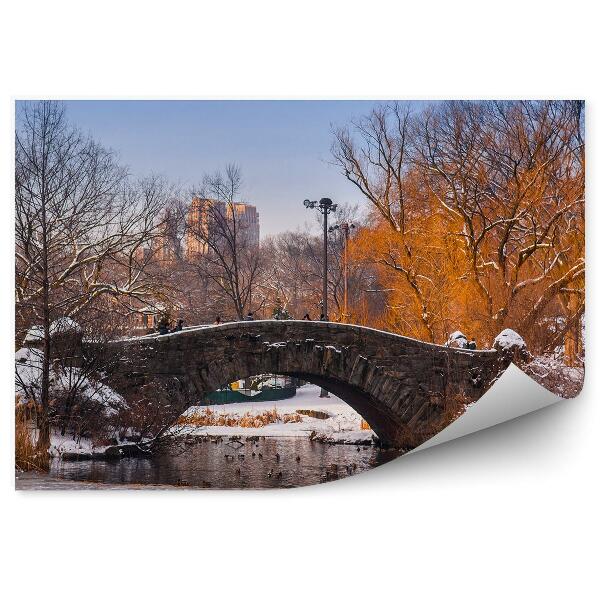 Fototapet Podul Central Park Rațe Copaci Zgârie-Nori New York Iarnă Zăpadă