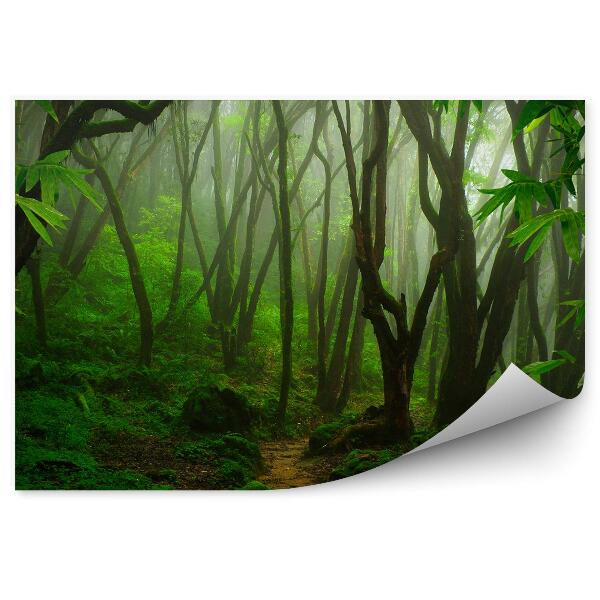 Fototapet pentru perete Vegetația Copacilor Din Junglă Tropicală