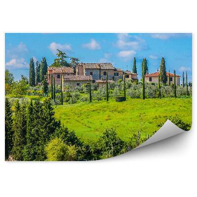 Fototapet perete Construirea Copaci Podgorie Cer Nori Toscana Italia