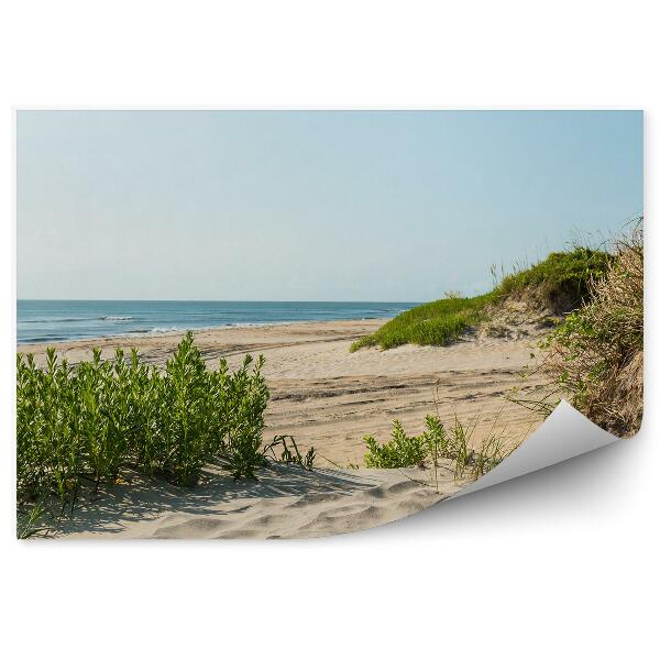 Fototapet pentru perete Plaja Dune Cer Ocean Plante Carolina De Nord