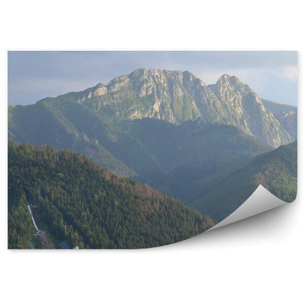 Decor fototapet Giewont Mare Caprior Îngropat Munți Copaci De Conifere