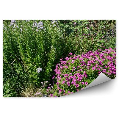 Decor fototapet Grădină Flori Colorate Tufe Verzi