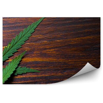 Fototapet perete Frunze De Canabis Pe O Podea De Lemn