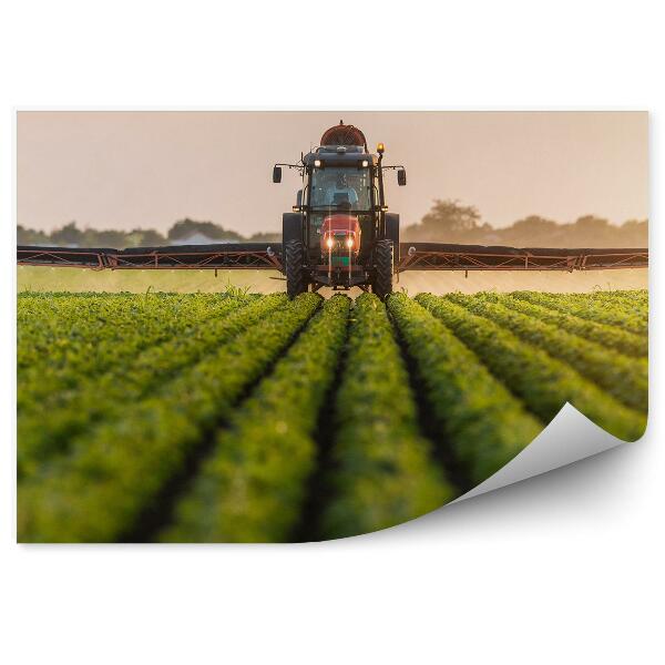 Fototapet perete Tractor care fertilizează boabe de soia pe un câmp