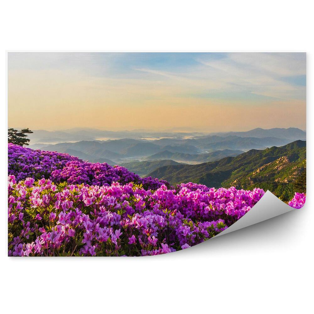 Decor fototapet Peisaj montan și rododendroni