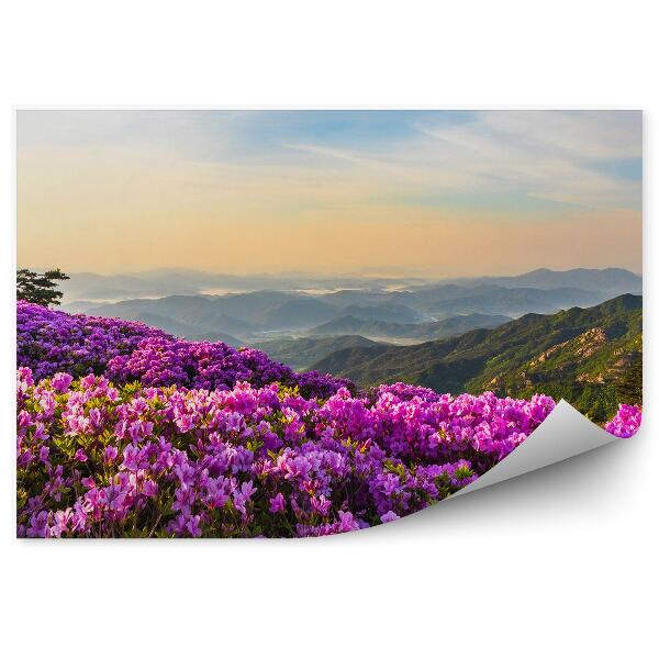 Decor fototapet Peisaj montan și rododendroni