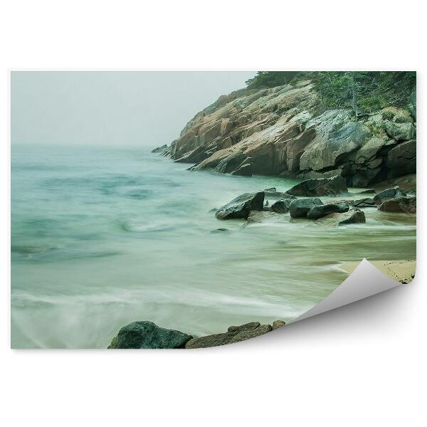 Fototapet pentru perete Plaja Stânci Ocean Conifere Cer Coasta Atlantică