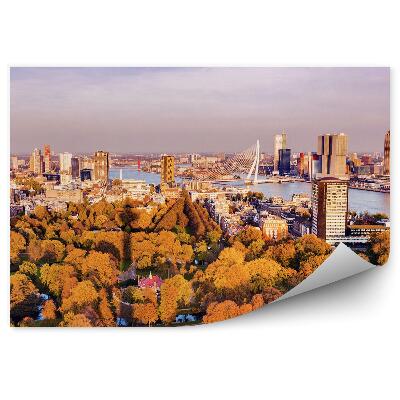 Decor fototapet Toamna oraș colorat copaci de toamnă natura