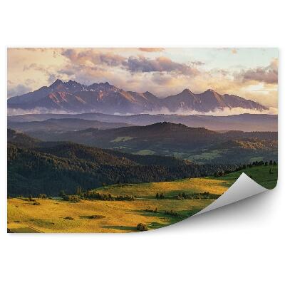 Fototapet perete Munți Câmpuri Verzi Copaci Ceață Cer Nori Slovacia