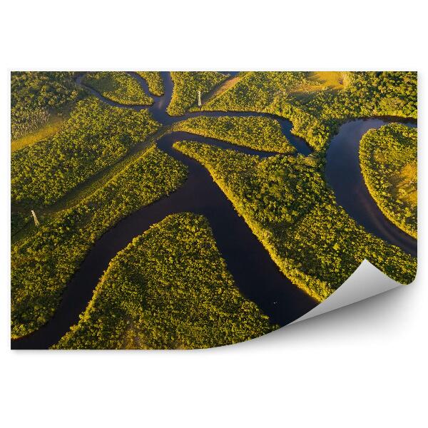 Fototapet pentru perete Vedere De Pasăre Asupra Amazonului