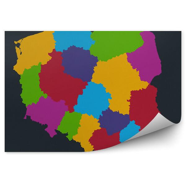 Fototapet vintage Harta color a Voievodatului Polonia